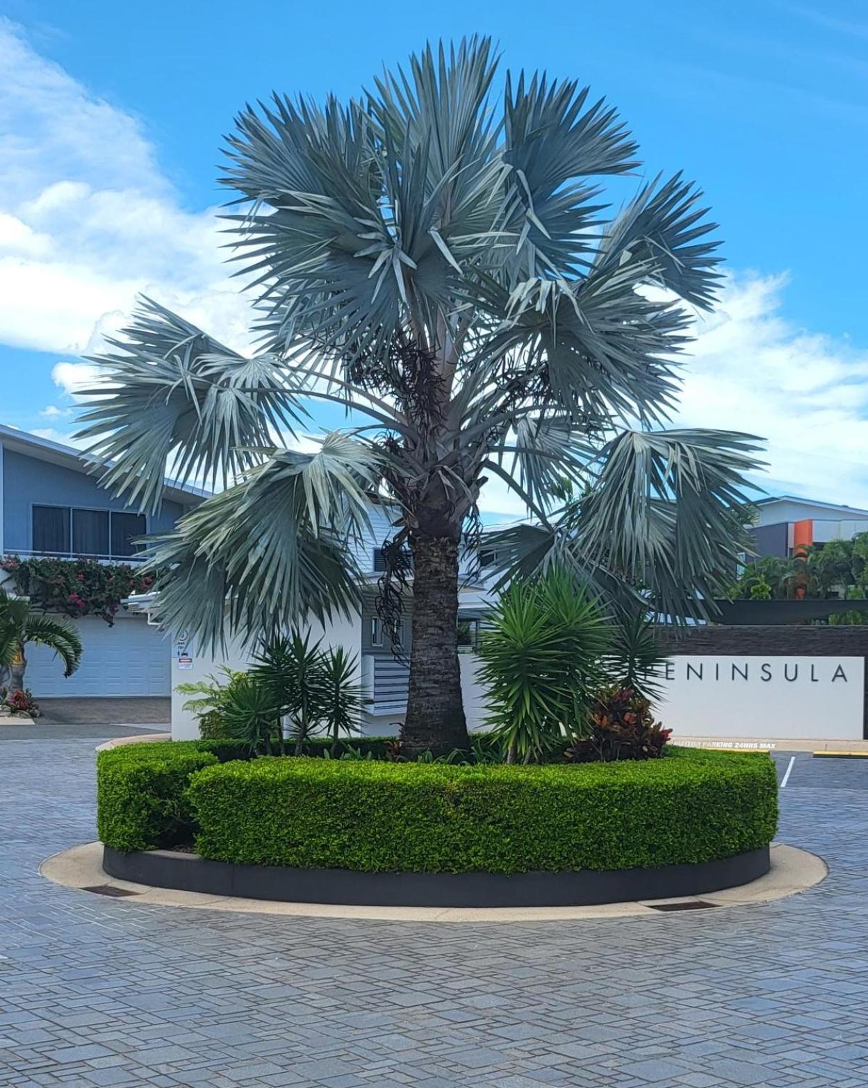 Peninsula Airlie Beach Exterior foto